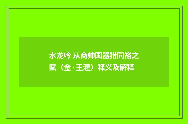 水龙吟 从商帅国器猎同裕之赋（金·王渥）释义及解释