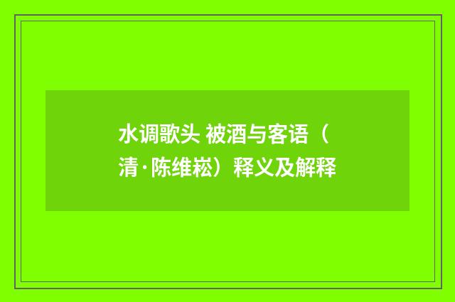 水调歌头 被酒与客语（清·陈维崧）释义及解释