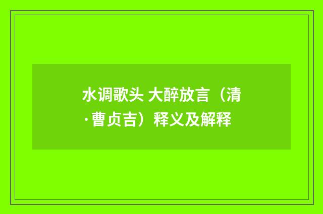 水调歌头 大醉放言（清·曹贞吉）释义及解释