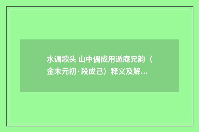 水调歌头 山中偶成用遁庵兄韵（金末元初·段成己）释义及解释