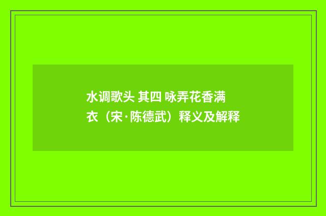 水调歌头 其四 咏弄花香满衣（宋·陈德武）释义及解释