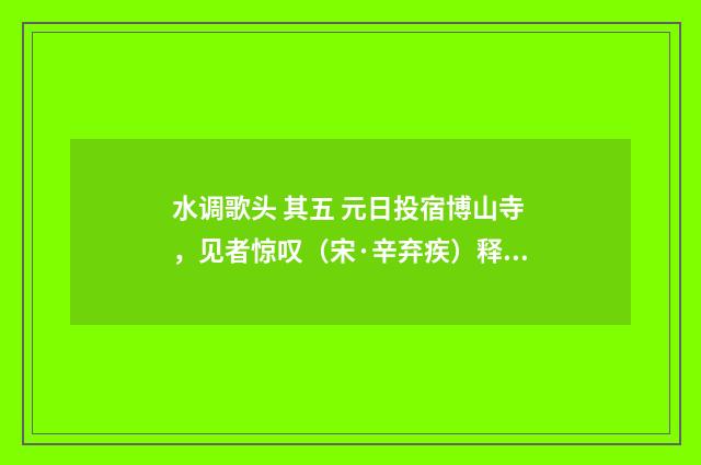 水调歌头 其五 元日投宿博山寺，见者惊叹（宋·辛弃疾）释义及解释