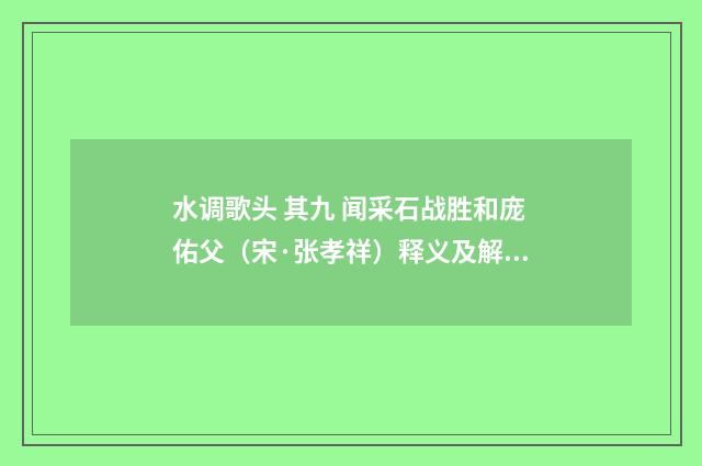 水调歌头 其九 闻采石战胜和庞佑父（宋·张孝祥）释义及解释