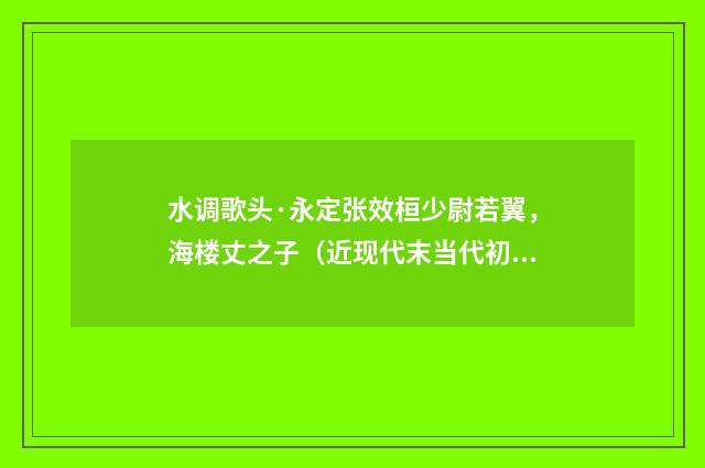 水调歌头·永定张效桓少尉若翼，海楼丈之子（近现代末当代初·袁荣法）释义及解释