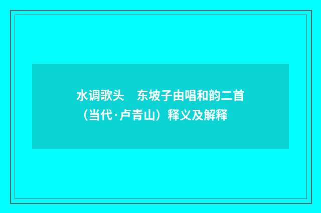 水调歌头　东坡子由唱和韵二首（当代·卢青山）释义及解释