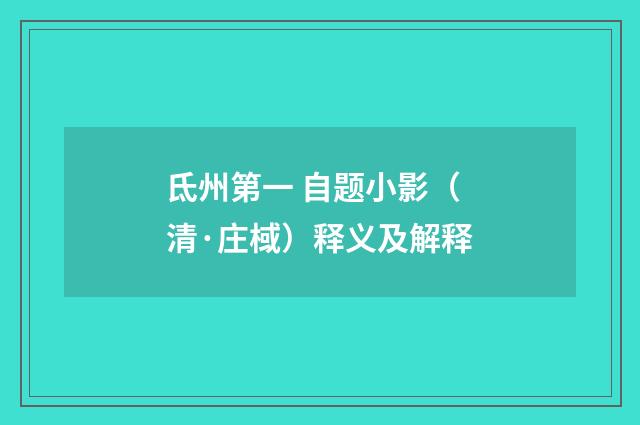 氐州第一 自题小影（清·庄棫）释义及解释