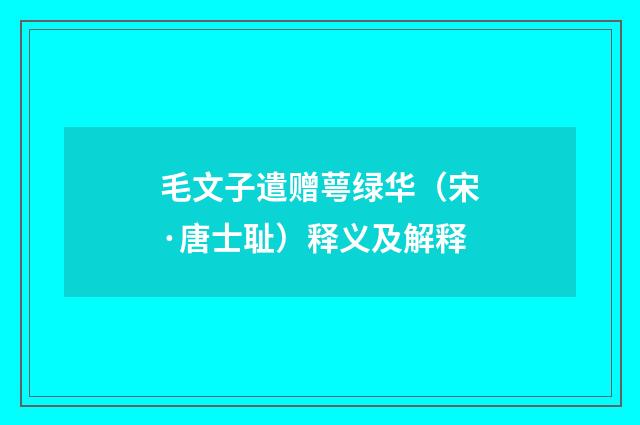 毛文子遣赠萼绿华（宋·唐士耻）释义及解释