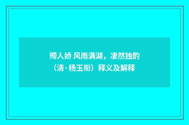 殢人娇 风雨满湖，凄然独酌（清·杨玉衔）释义及解释