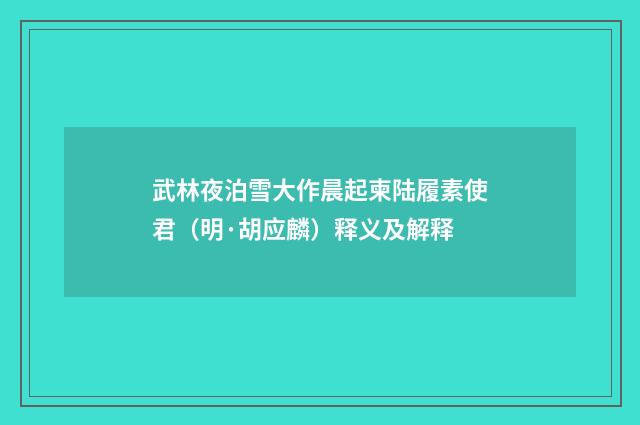 武林夜泊雪大作晨起柬陆履素使君（明·胡应麟）释义及解释