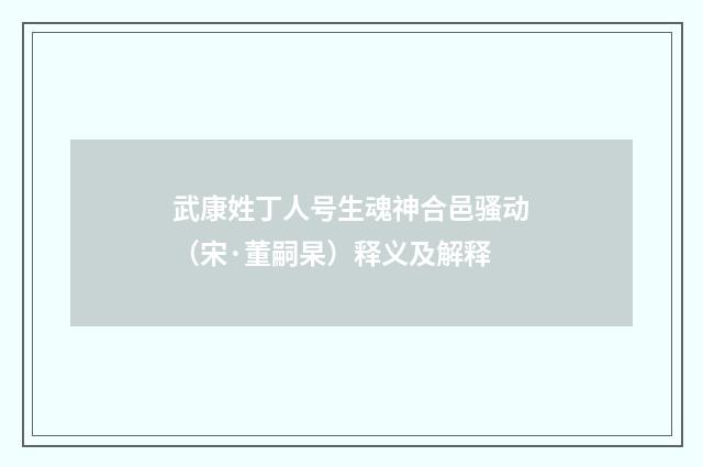 武康姓丁人号生魂神合邑骚动（宋·董嗣杲）释义及解释