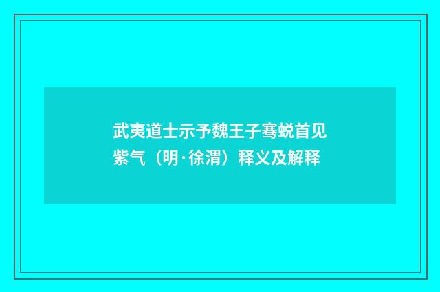武夷道士示予魏王子骞蜕首见紫气（明·徐渭）释义及解释