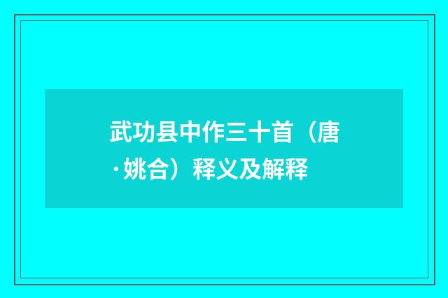 武功县中作三十首（唐·姚合）释义及解释