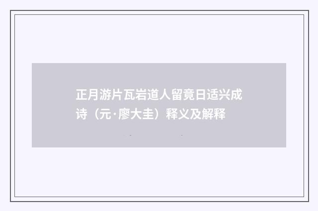 正月游片瓦岩道人留竟日适兴成诗（元·廖大圭）释义及解释