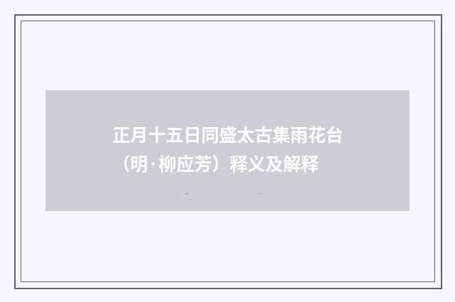 正月十五日同盛太古集雨花台（明·柳应芳）释义及解释