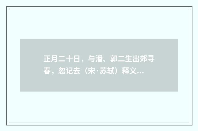 正月二十日，与潘、郭二生出郊寻春，忽记去（宋·苏轼）释义及解释