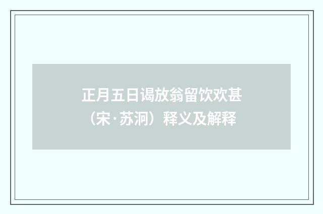 正月五日谒放翁留饮欢甚（宋·苏泂）释义及解释