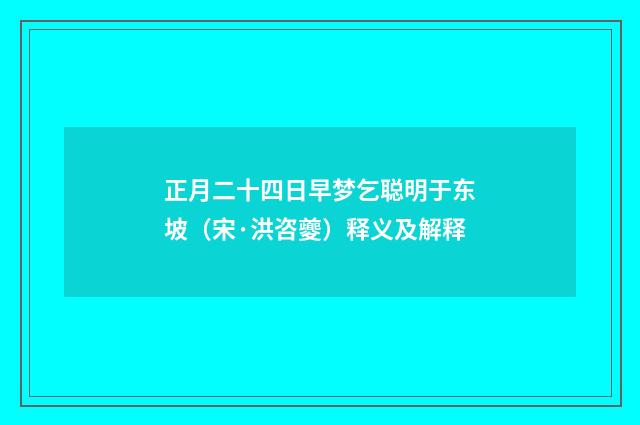 正月二十四日早梦乞聪明于东坡（宋·洪咨夔）释义及解释