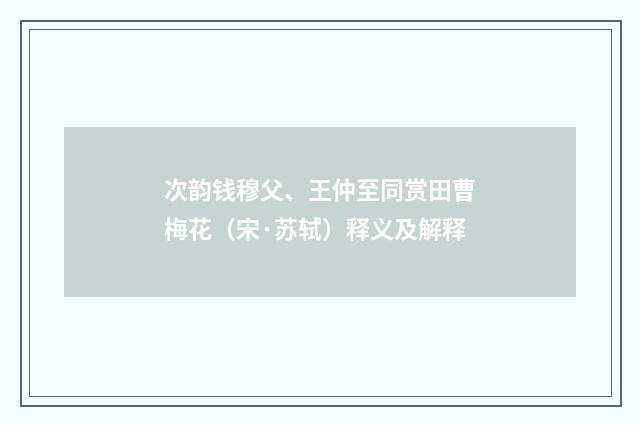 次韵钱穆父、王仲至同赏田曹梅花（宋·苏轼）释义及解释