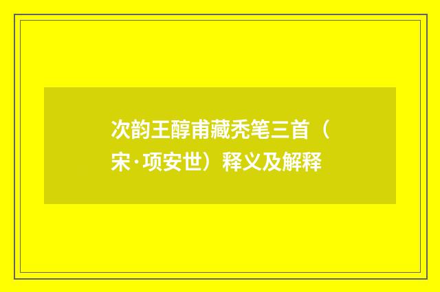 次韵王醇甫藏秃笔三首（宋·项安世）释义及解释