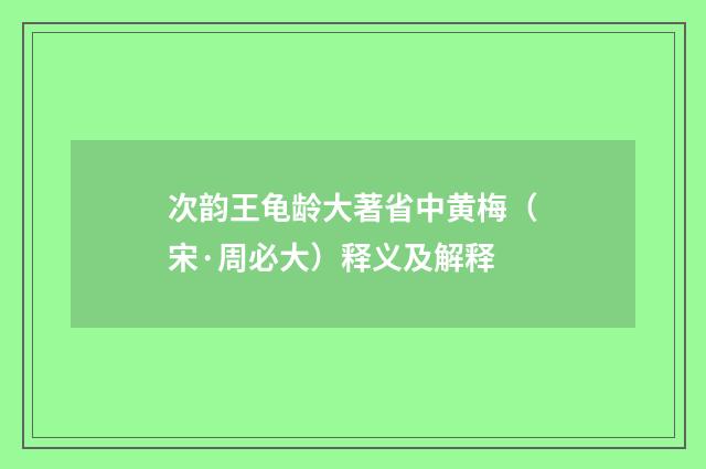 次韵王龟龄大著省中黄梅（宋·周必大）释义及解释