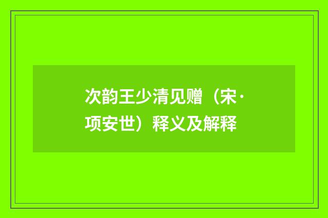 次韵王少清见赠（宋·项安世）释义及解释
