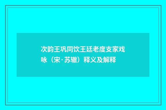 次韵王巩同饮王廷老度支家戏咏（宋·苏辙）释义及解释