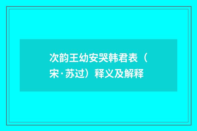 次韵王幼安哭韩君表（宋·苏过）释义及解释