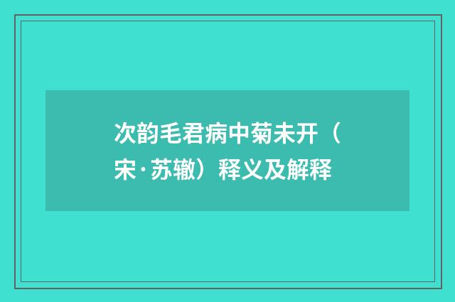 次韵毛君病中菊未开（宋·苏辙）释义及解释