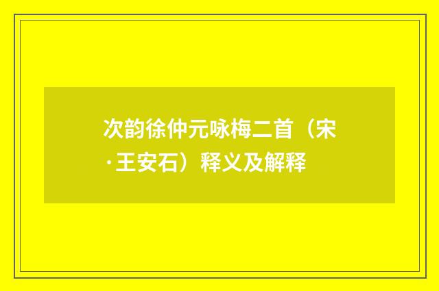 次韵徐仲元咏梅二首（宋·王安石）释义及解释