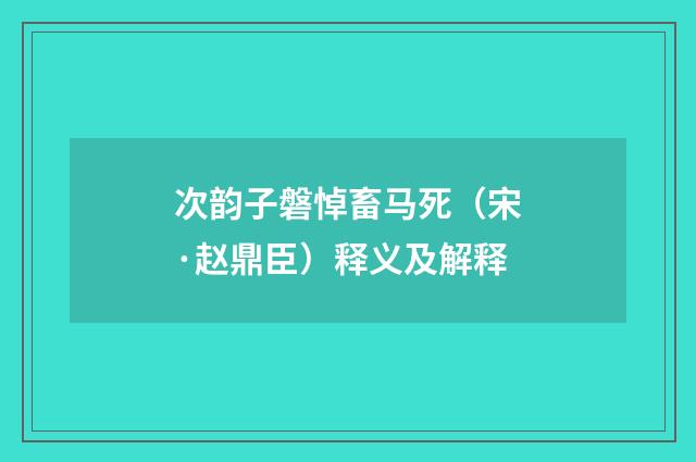 次韵子磐悼畜马死（宋·赵鼎臣）释义及解释