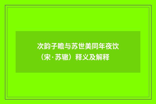 次韵子瞻与苏世美同年夜饮（宋·苏辙）释义及解释