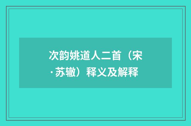 次韵姚道人二首（宋·苏辙）释义及解释
