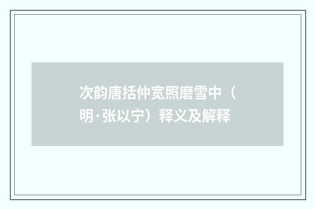 次韵唐括仲宽照磨雪中（明·张以宁）释义及解释