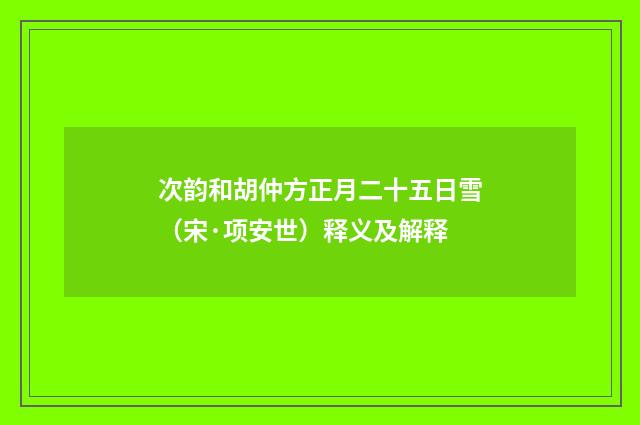 次韵和胡仲方正月二十五日雪（宋·项安世）释义及解释