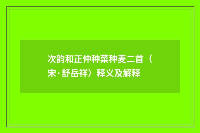 次韵和正仲种菜种麦二首（宋·舒岳祥）释义及解释