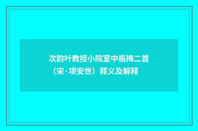 次韵叶教授小院室中瓶梅二首（宋·项安世）释义及解释