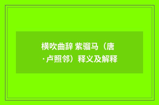 横吹曲辞 紫骝马（唐·卢照邻）释义及解释