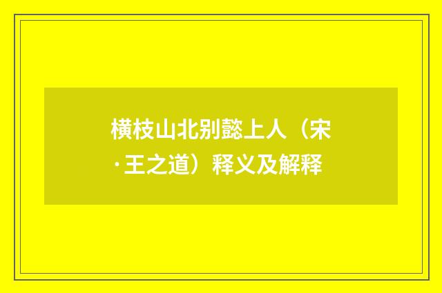 横枝山北别懿上人（宋·王之道）释义及解释