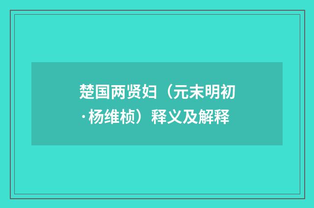 楚国两贤妇（元末明初·杨维桢）释义及解释