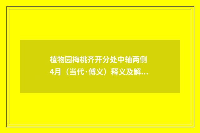 植物园梅桃齐开分处中轴两侧 4月（当代·傅义）释义及解释