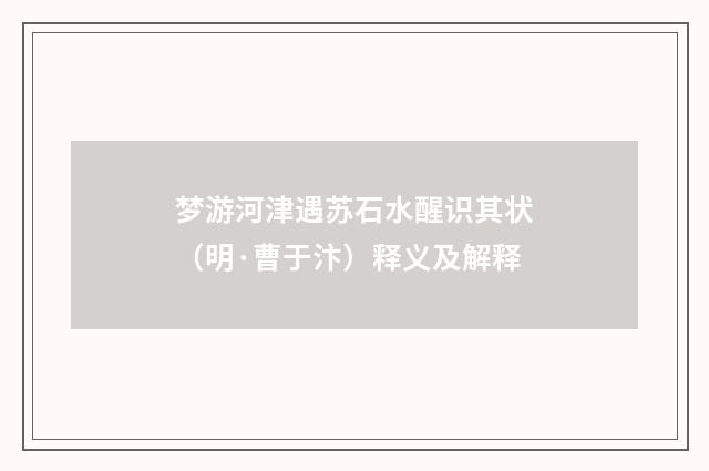 梦游河津遇苏石水醒识其状（明·曹于汴）释义及解释
