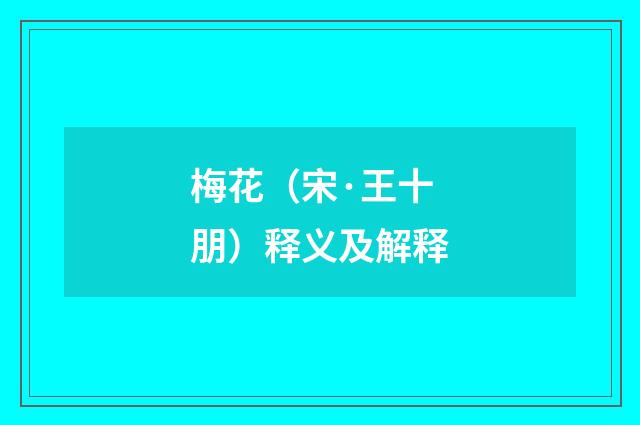 梅花（宋·王十朋）释义及解释