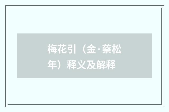梅花引（金·蔡松年）释义及解释