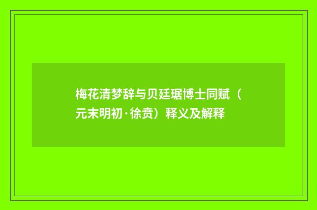 梅花清梦辞与贝廷琚博士同赋（元末明初·徐贲）释义及解释