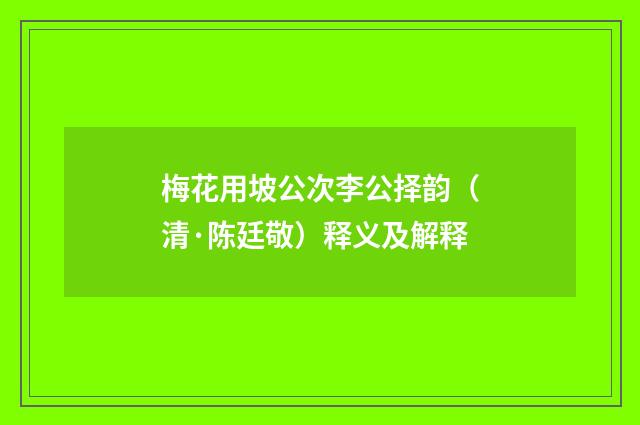 梅花用坡公次李公择韵（清·陈廷敬）释义及解释