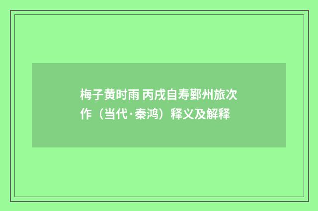 梅子黄时雨 丙戌自寿鄞州旅次作（当代·秦鸿）释义及解释