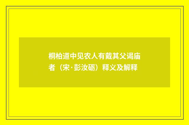 桐柏道中见农人有戴其父谒庙者（宋·彭汝砺）释义及解释