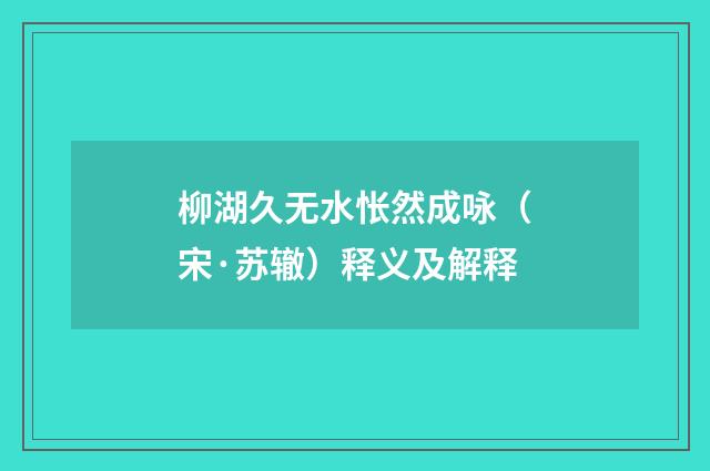 柳湖久无水怅然成咏（宋·苏辙）释义及解释