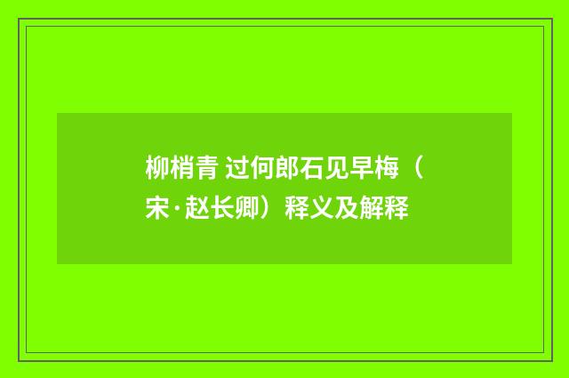 柳梢青 过何郎石见早梅（宋·赵长卿）释义及解释
