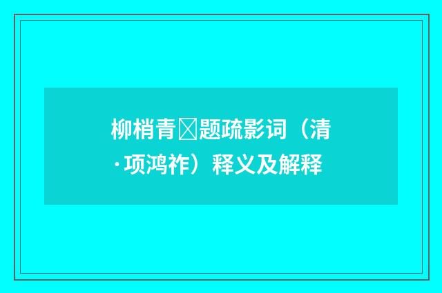 柳梢青题疏影词（清·项鸿祚）释义及解释